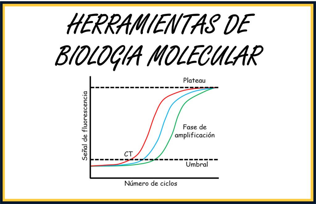 Herramientas de biología molecular